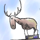 elk